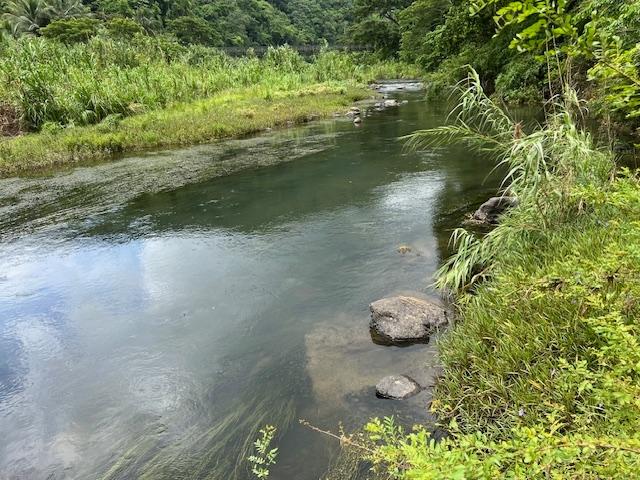 Third image of Broadgate in Broadgate, St. Mary, Jamaica - property is For Sale