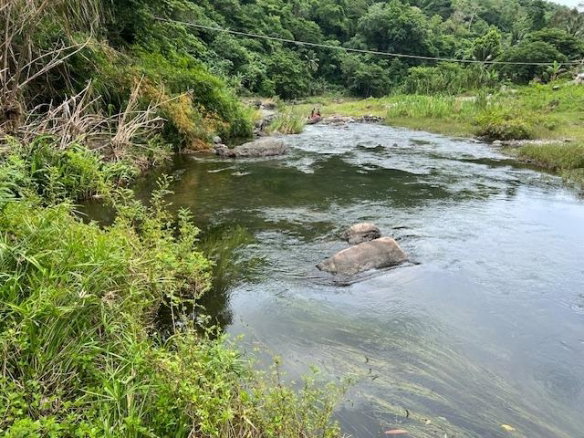 First image of Broadgate in Broadgate, St. Mary, Jamaica - property is For Sale
