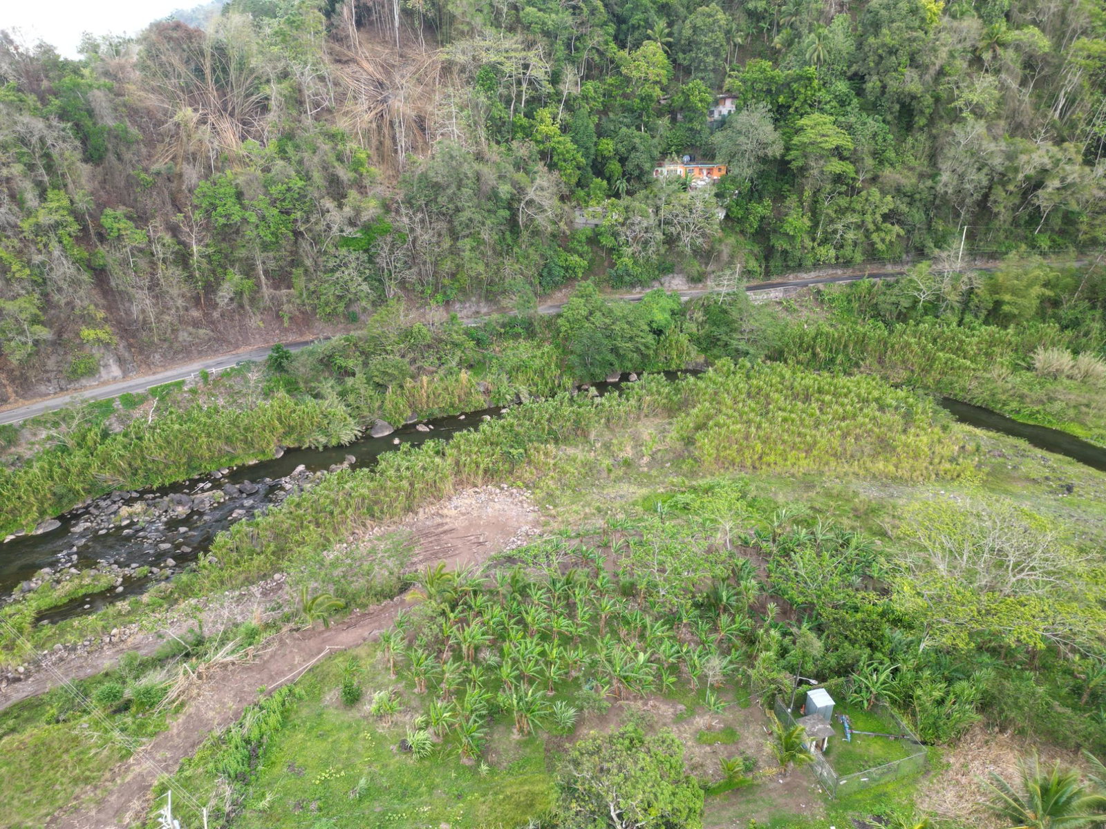 112-Acres-of-Prime-Residential-Development-Land-in-Broadgate-Jamaica Seventh image of Broadgate in Broadgate, St. Mary, Jamaica - property is For Sale