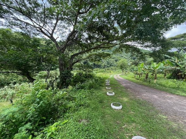Ninth image of Broadgate in Broadgate, St. Mary, Jamaica - property is For Sale