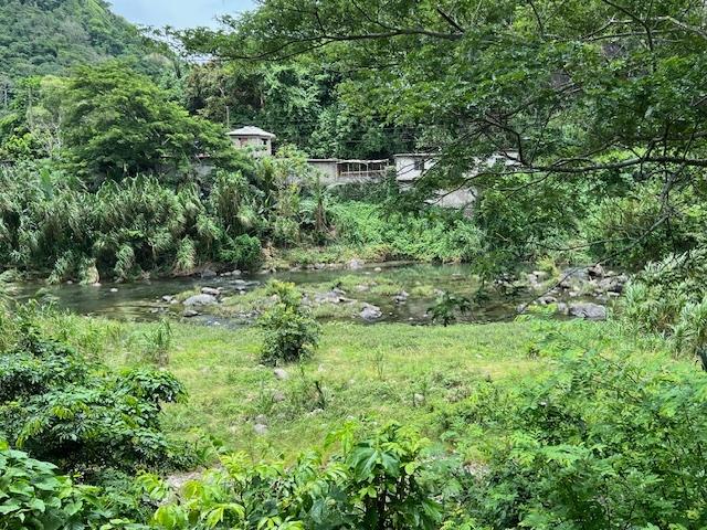 Tenth image of Broadgate in Broadgate, St. Mary, Jamaica - property is For Sale