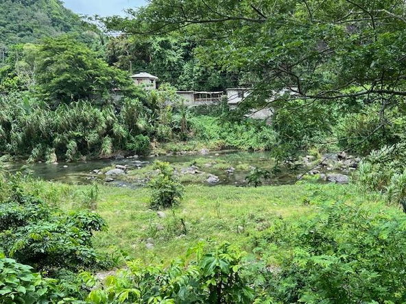 Tenth image of Broadgate in Broadgate, St. Mary, Jamaica - property is For Sale