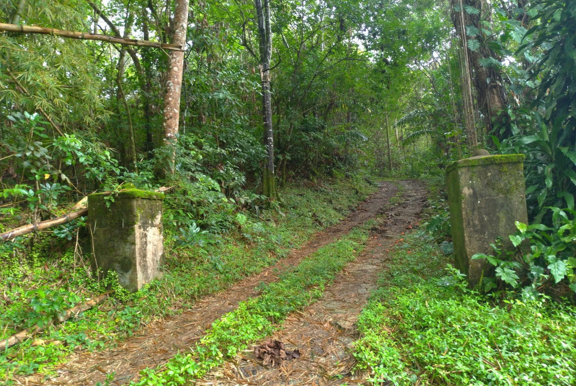 Second image of 2 Mammee Ridge, Lime Hall p in Brittonville, St. Ann, Jamaica - property is For Sale
