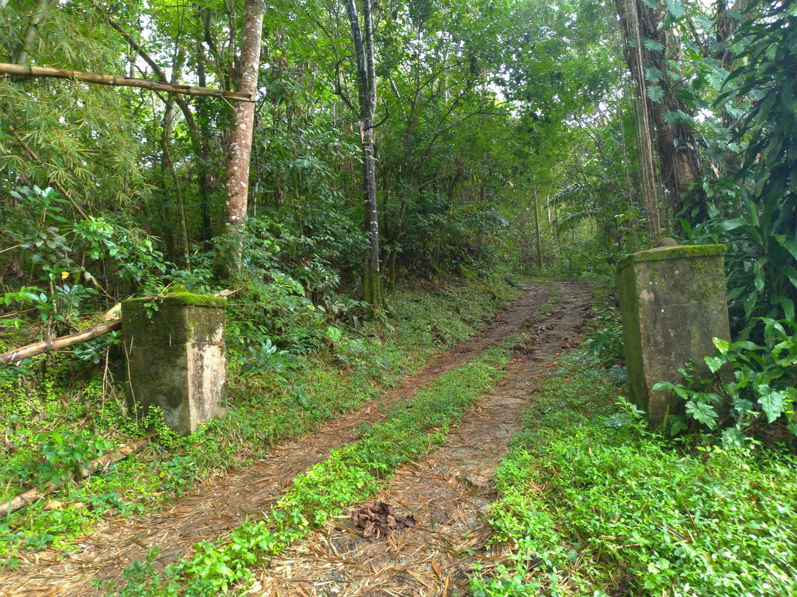 Second image of 2 Mammee Ridge, Lime Hall p in Brittonville, St. Ann, Jamaica - property is For Sale