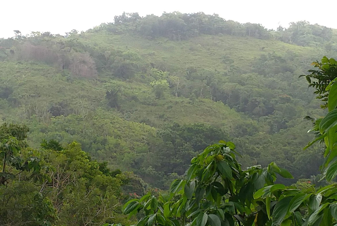 First image of 2 Mammee Ridge, Lime Hall p in Brittonville, St. Ann, Jamaica - property is For Sale