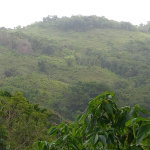 First image of 2 Mammee Ridge, Lime Hall p in Brittonville, St. Ann, Jamaica - property is For Sale
