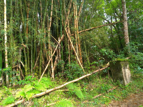 Third image of 2 Mammee Ridge, Lime Hall p in Brittonville, St. Ann, Jamaica - property is For Sale