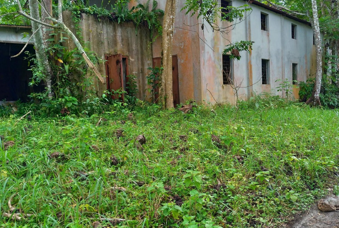 Fourth image of 2 Mammee Ridge, Lime Hall p in Brittonville, St. Ann, Jamaica - property is For Sale