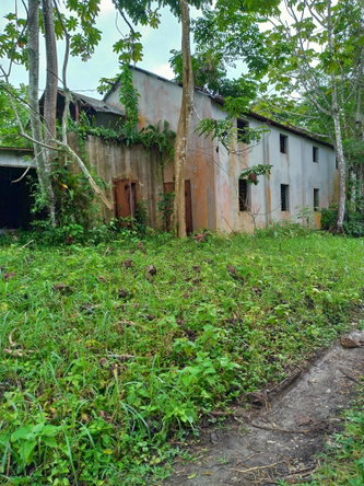 Fourth image of 2 Mammee Ridge, Lime Hall p in Brittonville, St. Ann, Jamaica - property is For Sale