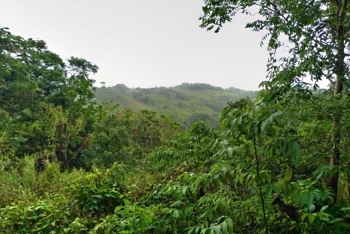 Fifth image of 2 Mammee Ridge, Lime Hall p in Brittonville, St. Ann, Jamaica - property is For Sale