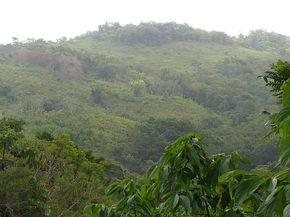 First image of 2 Mammee Ridge, Lime Hall p in Brittonville, St. Ann, Jamaica - property is For Sale