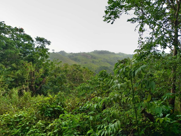Eighth image of 2 Mammee Ridge, Lime Hall p in Brittonville, St. Ann, Jamaica - property is For Sale