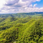 First image of Ashley's Canoe Valley in Chapleton, Clarendon, Jamaica - property is For Sale