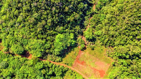 Third image of Ashley's Canoe Valley in Chapleton, Clarendon, Jamaica - property is For Sale