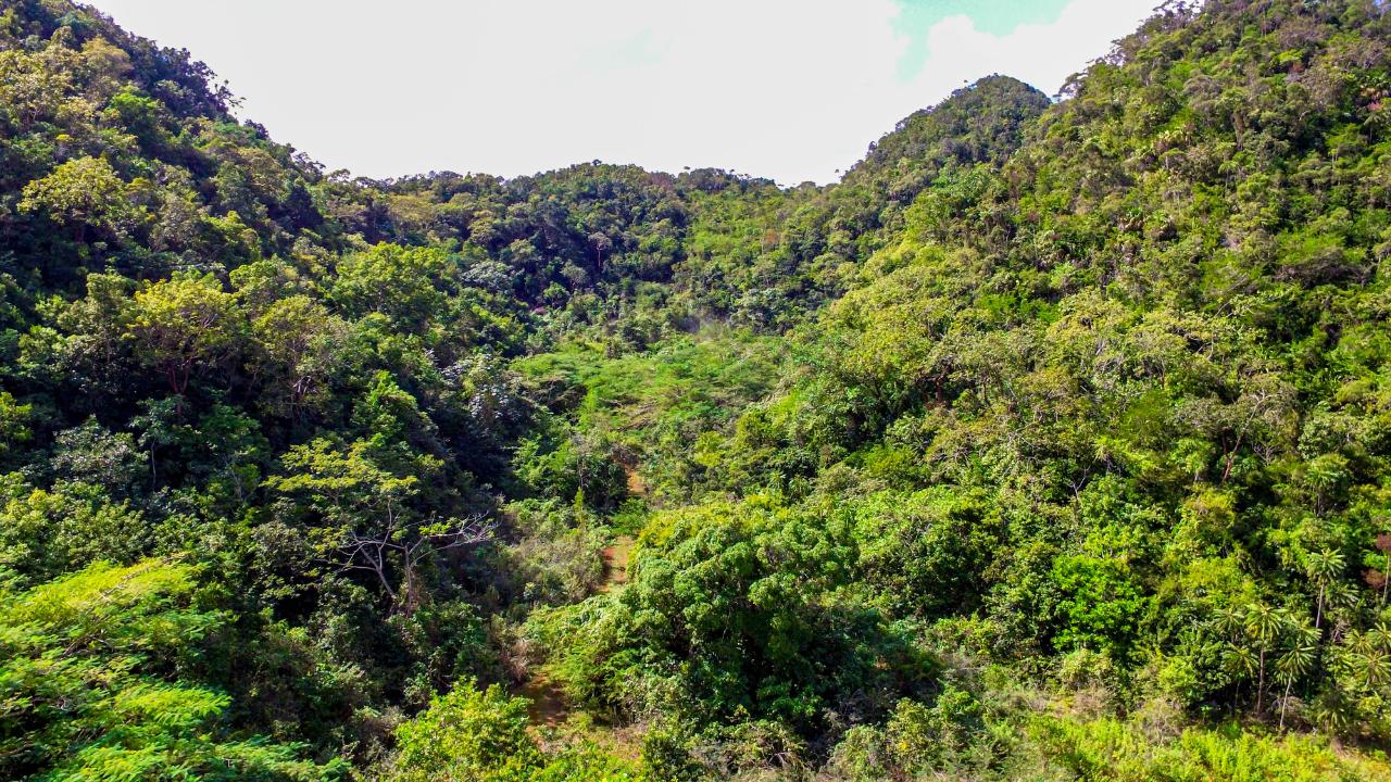 Fourth image of Ashley's Canoe Valley in Chapleton, Clarendon, Jamaica - property is For Sale