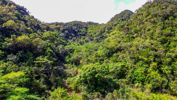Fourth image of Ashley's Canoe Valley in Chapleton, Clarendon, Jamaica - property is For Sale