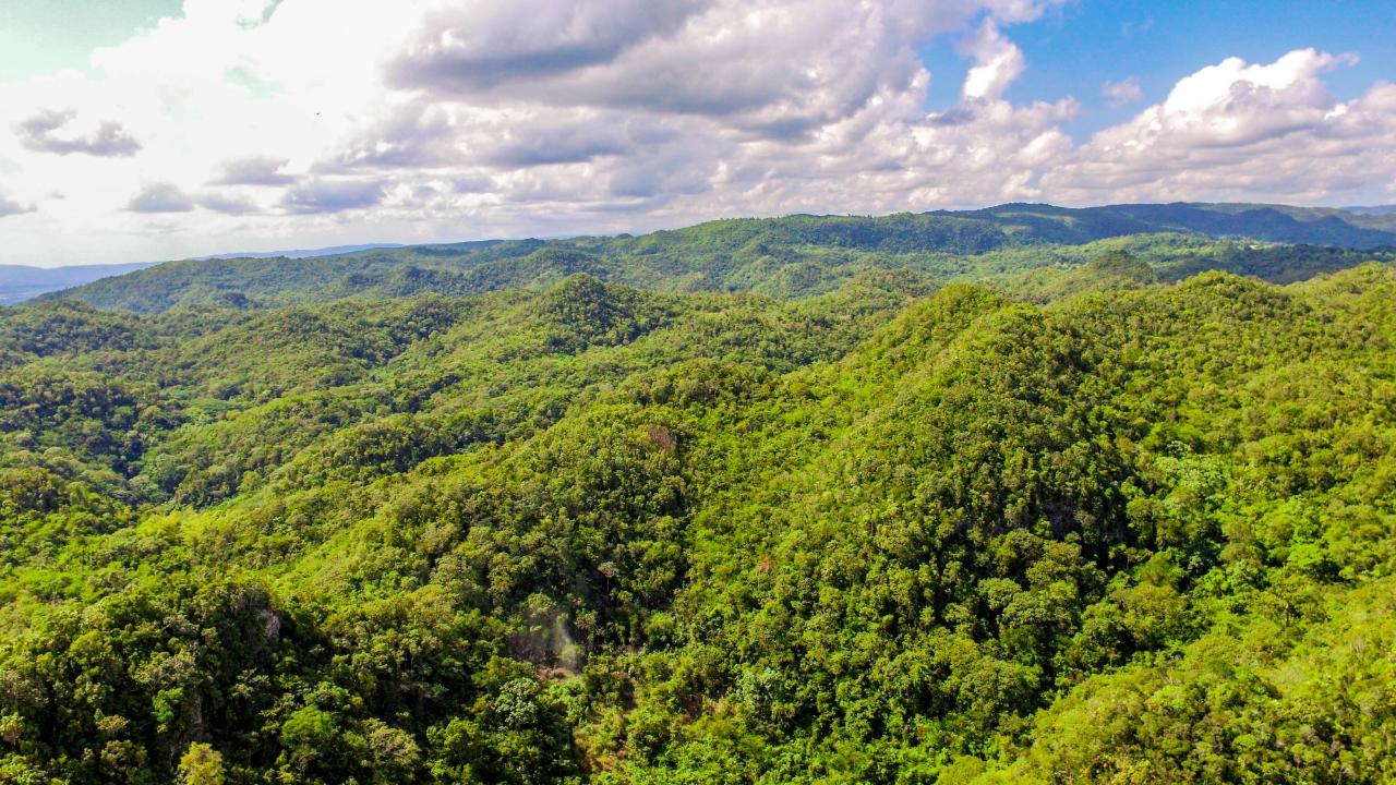 Fifth image of Ashley's Canoe Valley in Chapleton, Clarendon, Jamaica - property is For Sale