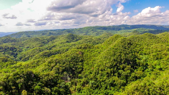 Fifth image of Ashley's Canoe Valley in Chapleton, Clarendon, Jamaica - property is For Sale