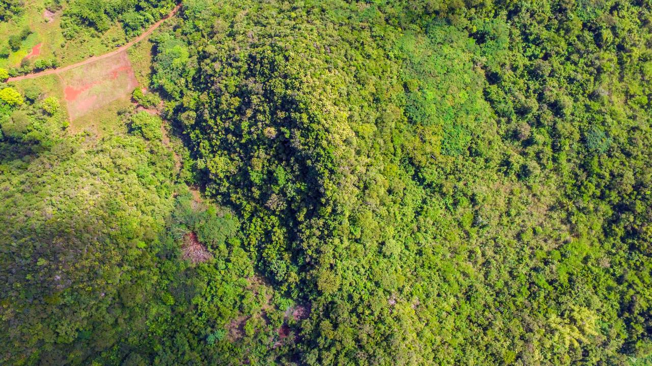 Sixth image of Ashley's Canoe Valley in Chapleton, Clarendon, Jamaica - property is For Sale