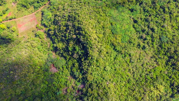 Sixth image of Ashley's Canoe Valley in Chapleton, Clarendon, Jamaica - property is For Sale