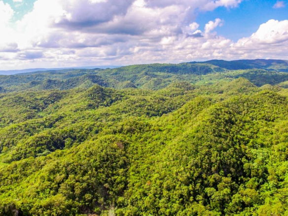First image of Ashley's Canoe Valley in Chapleton, Clarendon, Jamaica - property is For Sale