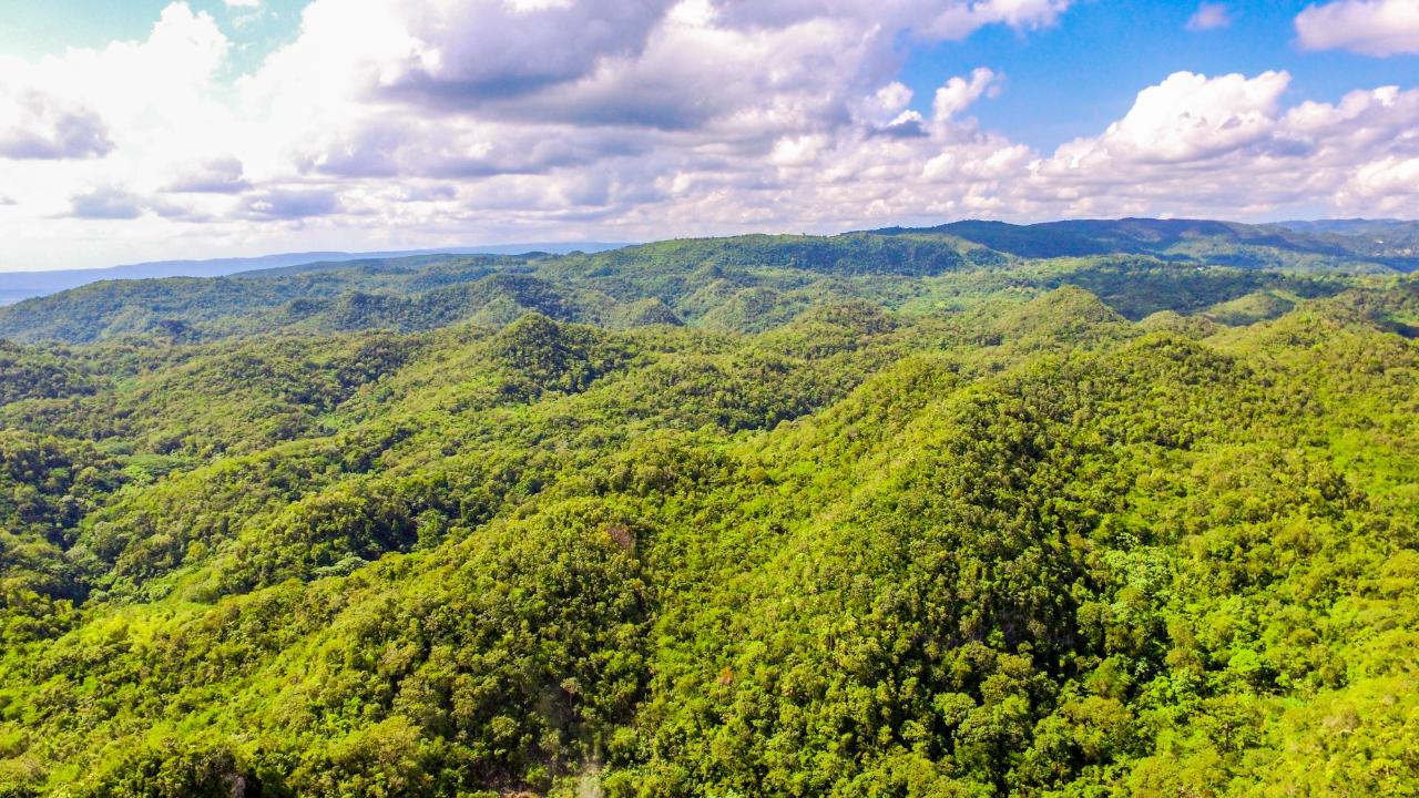 First image of Ashley's Canoe Valley in Chapleton, Clarendon, Jamaica - property is For Sale