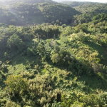 First image of Lot#100 Southfield in Runaway Bay, St. Ann, Jamaica - property is For Sale