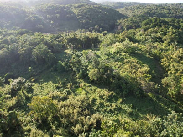 First image of Lot#100 Southfield in Runaway Bay, St. Ann, Jamaica - property is For Sale
