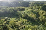 First image of Lot#100 Southfield in Runaway Bay, St. Ann, Jamaica - property is For Sale