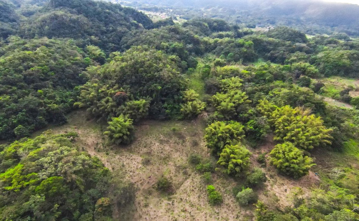 Second image of 41 Greenock in Cave Valey, St. Ann, Jamaica - property is For Sale