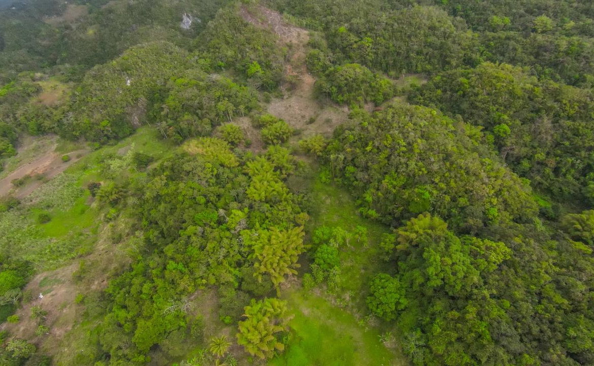 Fourteenth image of 41 Greenock in Cave Valey, St. Ann, Jamaica - property is For Sale