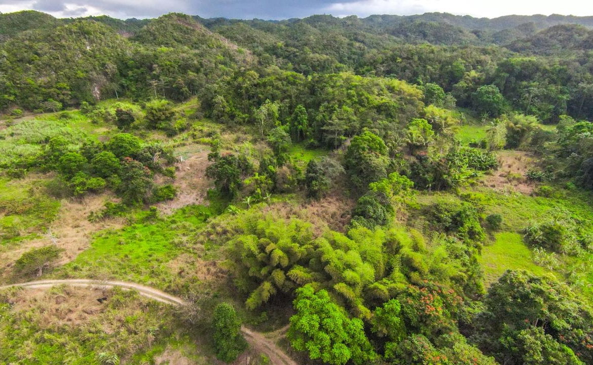 Nineteenth image of 41 Greenock in Cave Valey, St. Ann, Jamaica - property is For Sale