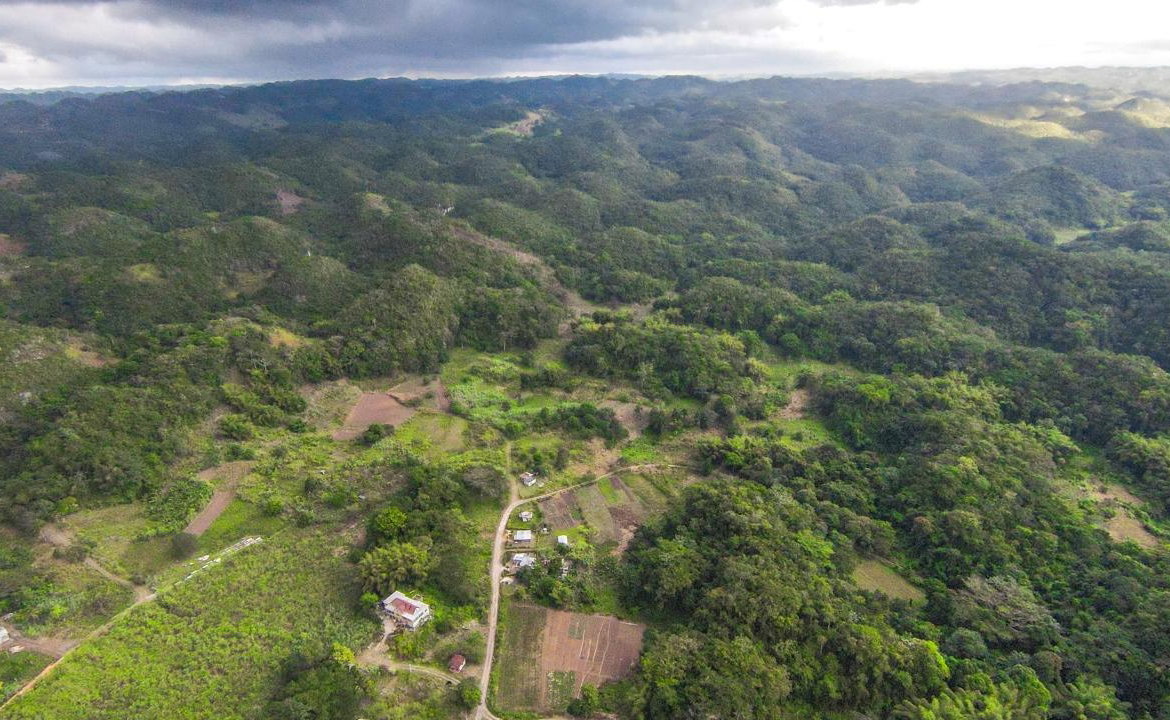 Twentieth image of 41 Greenock in Cave Valey, St. Ann, Jamaica - property is For Sale
