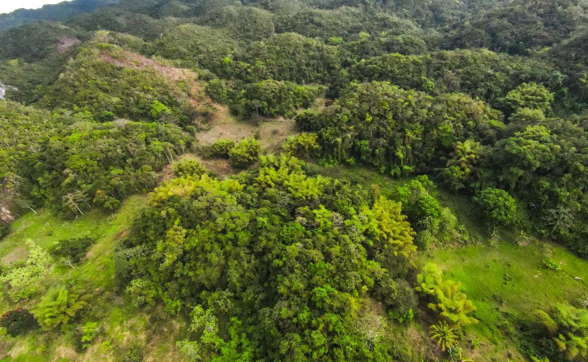 Twenty-Fifth image of 41 Greenock in Cave Valey, St. Ann, Jamaica - property is For Sale