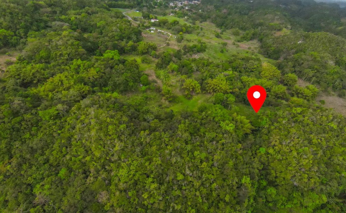 Fourth image of 41 Greenock in Cave Valey, St. Ann, Jamaica - property is For Sale
