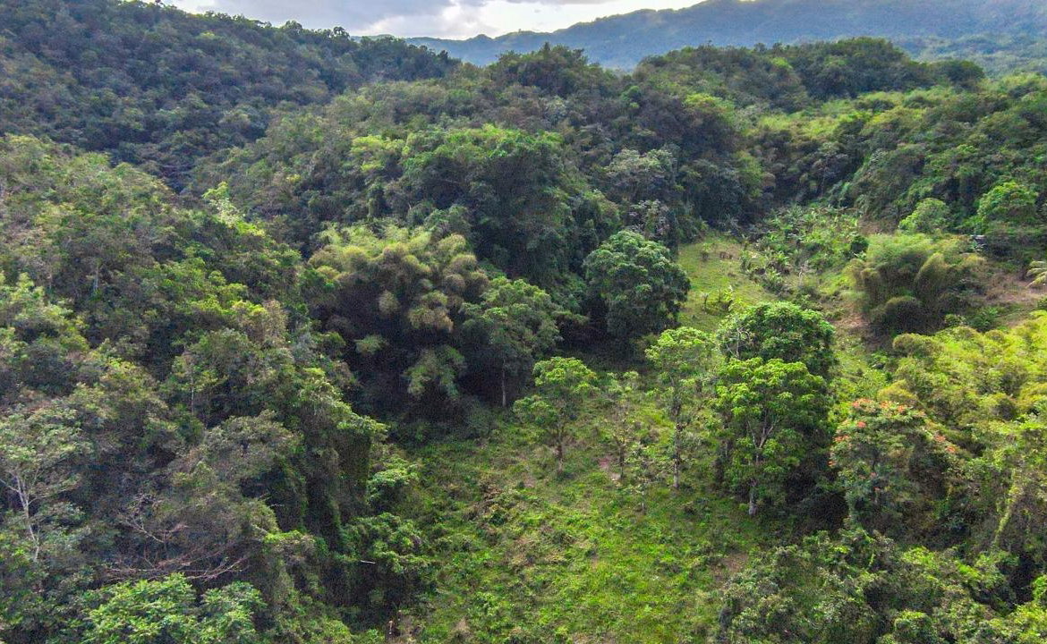 Sixth image of 41 Greenock in Cave Valey, St. Ann, Jamaica - property is For Sale