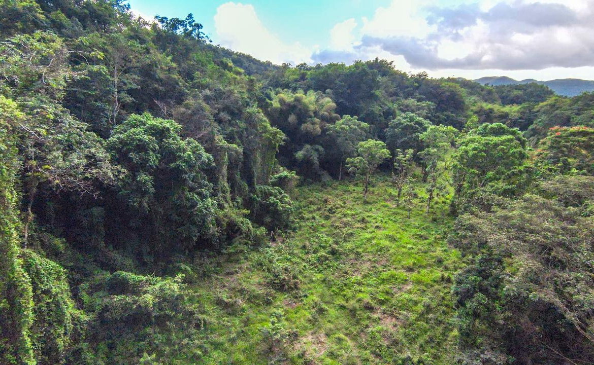 Seventh image of 41 Greenock in Cave Valey, St. Ann, Jamaica - property is For Sale