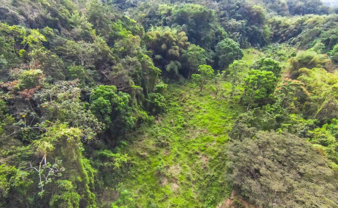 Ninth image of 41 Greenock in Cave Valey, St. Ann, Jamaica - property is For Sale