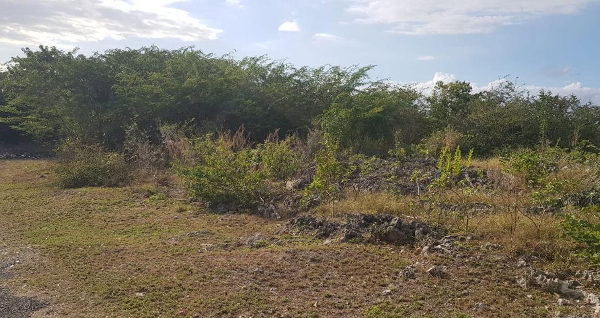 First image of 10a-13a West Montaque Heights in Sligoville, St. Catherine, Jamaica - property is For Sale