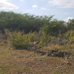 First image of 10a-13a West Montaque Heights in Sligoville, St. Catherine, Jamaica - property is For Sale