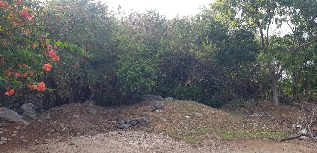 Third image of 10a-13a West Montaque Heights in Sligoville, St. Catherine, Jamaica - property is For Sale