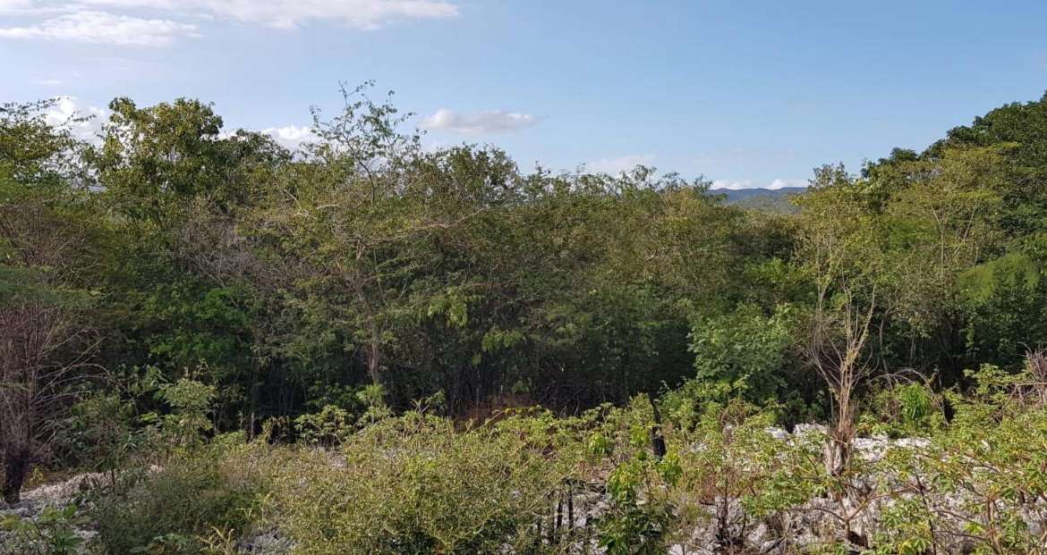 Fifth image of 10a-13a West Montaque Heights in Sligoville, St. Catherine, Jamaica - property is For Sale