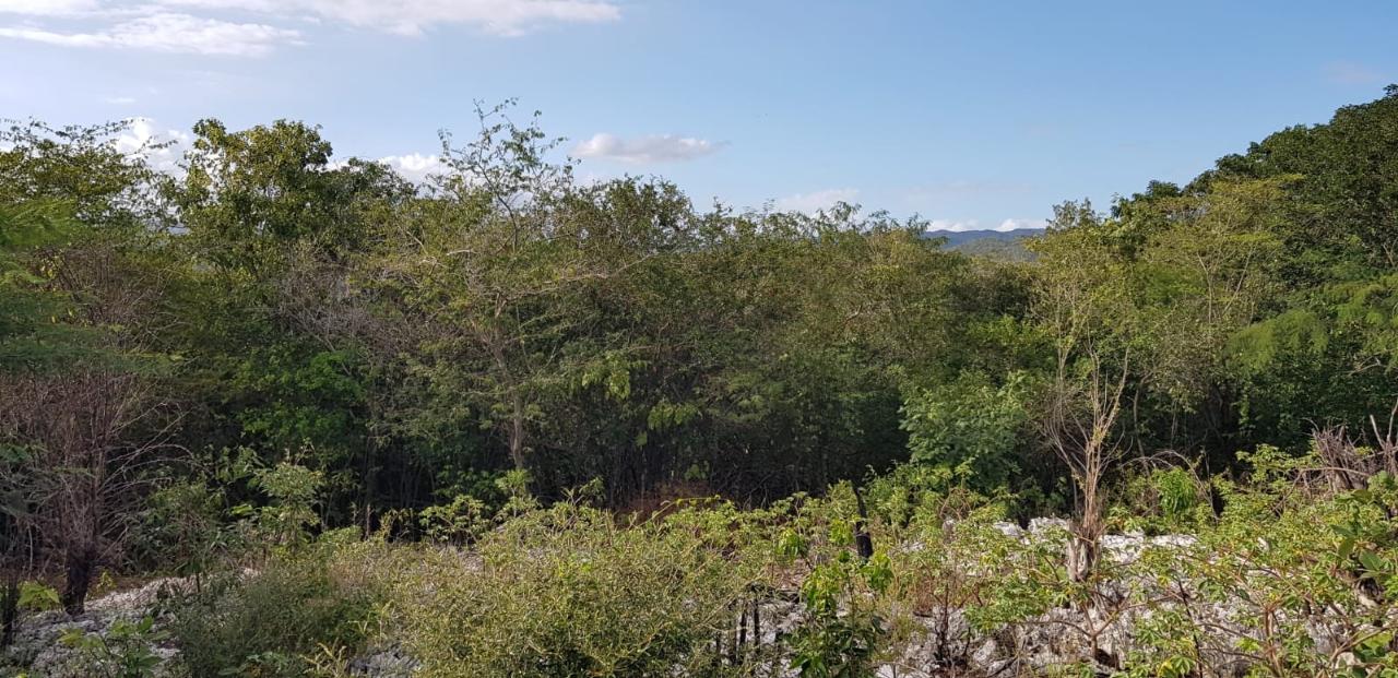 Fifth image of 10a-13a West Montaque Heights in Sligoville, St. Catherine, Jamaica - property is For Sale