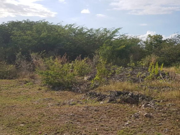 First image of 10a-13a West Montaque Heights in Sligoville, St. Catherine, Jamaica - property is For Sale