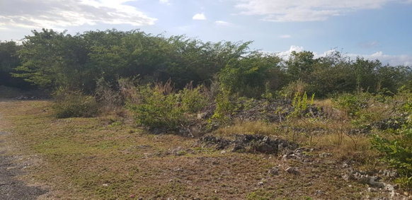 First image of 10a-13a West Montaque Heights in Sligoville, St. Catherine, Jamaica - property is For Sale