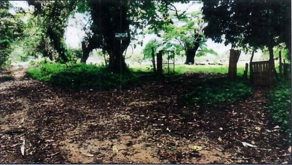 Third image of Goshen in Goshen, St. Ann, Jamaica - property is For Sale