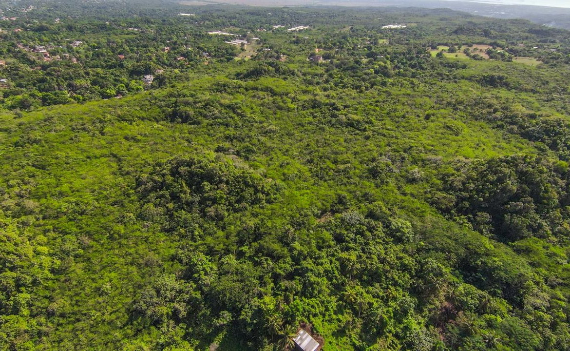 Fourth image of Kitson Town in KITSON TOWN, St. Catherine, Jamaica - property is For Sale