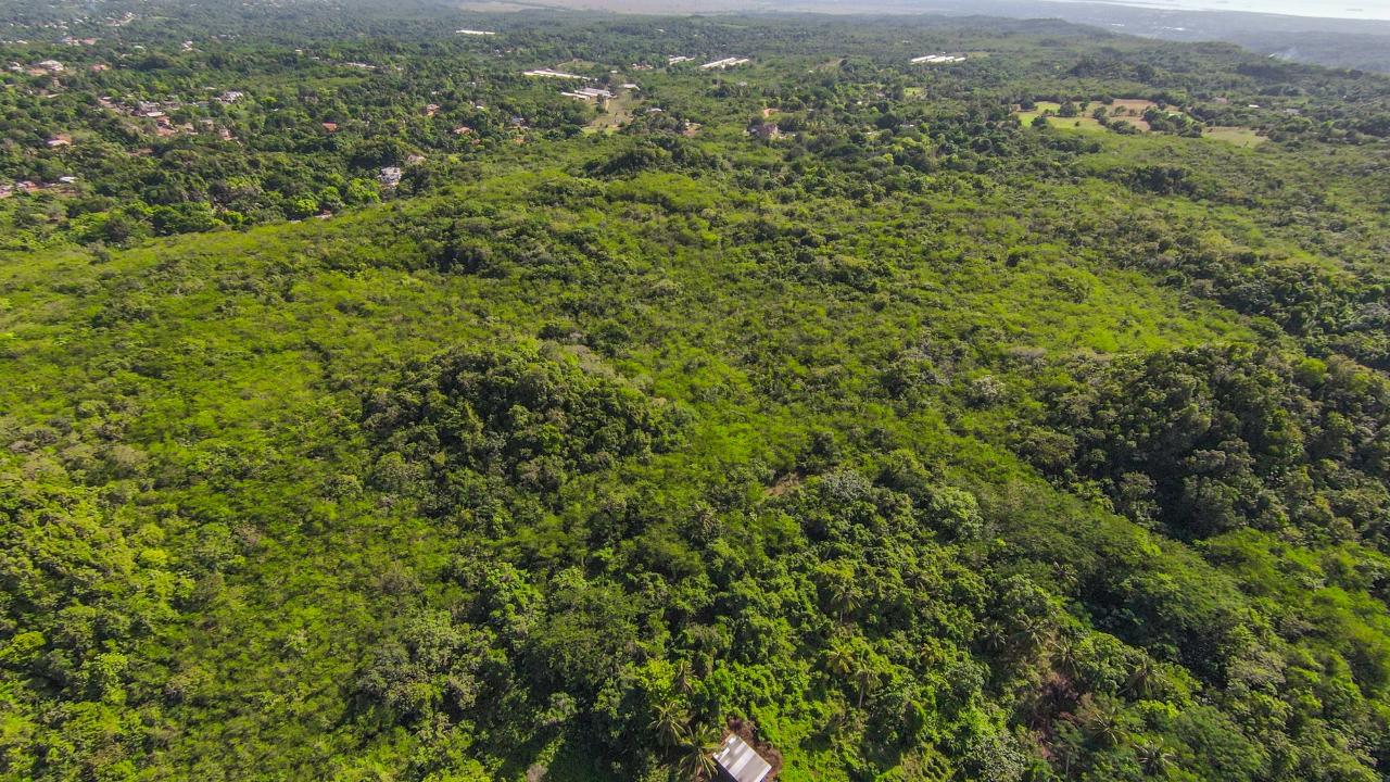 Fourth image of Kitson Town in KITSON TOWN, St. Catherine, Jamaica - property is For Sale