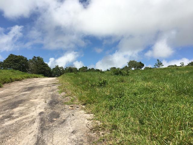 Second image of Chippenham Park, Bamboo in Bamboo, St. Ann, Jamaica - property is For Sale