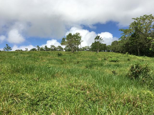 Third image of Chippenham Park, Bamboo in Bamboo, St. Ann, Jamaica - property is For Sale